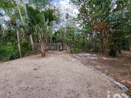  Grundstück zu verkaufen in Lazaro Cardenas, Quintana Roo, Lazaro Cardenas