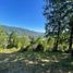  Terreno (Parcela) en venta en Los Ríos, Mariquina, Valdivia, Los Ríos