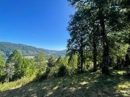  Terreno (Parcela) en venta en Los Ríos, Mariquina, Valdivia, Los Ríos