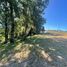  Terreno (Parcela) en venta en Los Ríos, Mariquina, Valdivia, Los Ríos