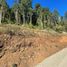  Terreno (Parcela) en venta en Los Ríos, Mariquina, Valdivia, Los Ríos