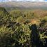  Land for sale in San Javier, Cordoba, San Javier