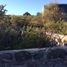  Land for sale in San Javier, Cordoba, San Javier
