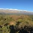  Land for sale in San Javier, Cordoba, San Javier