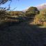  Land for sale in San Javier, Cordoba, San Javier