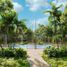  Land for sale in Lazaro Cardenas, Quintana Roo, Lazaro Cardenas