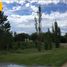  Land for sale in Junin, San Luis, Junin