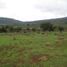  Terreno (Parcela) en venta en Lagunillas, Michoacán, Lagunillas