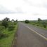  Land for sale in Lagunillas, Michoacan, Lagunillas