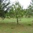  Terreno (Parcela) en venta en Lagunillas, Michoacán, Lagunillas