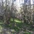 Land for sale in Chile, Santiago, Santiago, Santiago, Chile