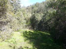 Land for sale in Chile, Santiago, Santiago, Santiago, Chile
