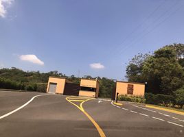  Land for sale in Cali, Valle Del Cauca, Cali