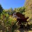 2 Bedroom House for sale in Araucania, Villarrica, Cautin, Araucania
