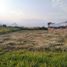  Land for sale in Tlayacapan, Morelos, Tlayacapan