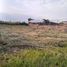  Land for sale in Tlayacapan, Morelos, Tlayacapan