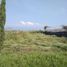  Land for sale in Tlayacapan, Morelos, Tlayacapan