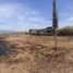  Land for sale in Tlayacapan, Morelos, Tlayacapan