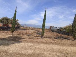  Land for sale in Tlayacapan, Morelos, Tlayacapan