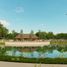  Land for sale in Chankom, Yucatan, Chankom