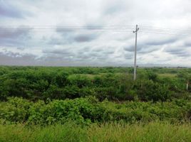  Land for sale in Guayaquil, Guayas, Morro, Guayaquil