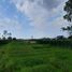  Land for sale in Tegal, Jawa Tengah, Aduwerna, Tegal