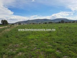  Grundstück zu verkaufen in Tequisquiapan, Queretaro, Tequisquiapan