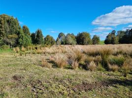  Terrain for sale in Llanquihue, Los Lagos, Llanquihue, Llanquihue