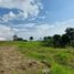  Land for sale in Megamendung, Bogor, Megamendung