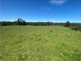  Land for sale in Chile, Golbea, Cautin, Araucania, Chile