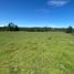  Land for sale in Golbea, Araucania, Golbea