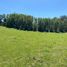  Land for sale in Chile, Golbea, Cautin, Araucania, Chile