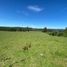  Land for sale in Chile, Golbea, Cautin, Araucania, Chile