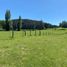  Land for sale in Chile, Golbea, Cautin, Araucania, Chile