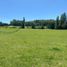  Land for sale in Chile, Golbea, Cautin, Araucania, Chile