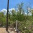  Land for sale in Tixcacalcupul, Yucatan, Tixcacalcupul