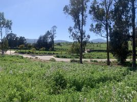  Land for sale in Chile, Puchuncavi, Valparaiso, Valparaiso, Chile