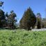  Land for sale in Chile, Puchuncavi, Valparaiso, Valparaiso, Chile