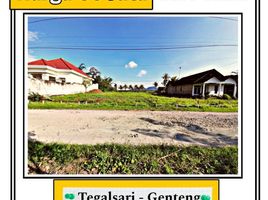  Land for sale in Banyuwangi, East Jawa, Gambiran, Banyuwangi