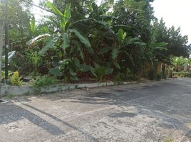  Land for sale in Mlati, Sleman, Mlati