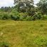  Land for sale in Kerambitan, Tabanan, Kerambitan