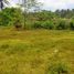  Land for sale in Kerambitan, Tabanan, Kerambitan