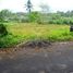  Land for sale in Kerambitan, Tabanan, Kerambitan