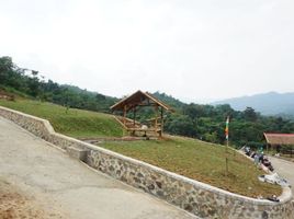  Tanah for sale in Lebak, Banten, Warunggunung, Lebak