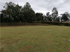 Terrain à vendre à La Ceja, Antioquia, La Ceja, Antioquia