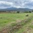  Land for sale in Morelia, Michoacan, Morelia, Michoacan
