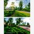 3 Bedroom House for sale in Torreon, Coahuila, Torreon
