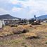  Land for rent in El Marques, Queretaro, El Marques
