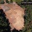  Land for sale in Chile, Concepcion, Concepción, Biobío, Chile