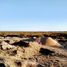  Land for sale in Metan, Salta, Metan